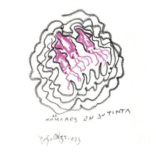 Ilustración de Calamares en su tinta por Pelayo Ortega para Lorixe